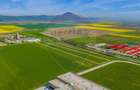 Teren extravilan 5.009 mp / Râșnov/ COMISION 0% - 5