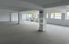 Clădire Mixtă Bd. Muncii Cluj – 10 Birouri + Hală 3290 mp - 0 Comision - 9