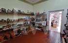 SPATIU COMERCIAL IN CENTRU - 1