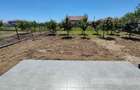 Duplex premium , 4 dormitoare, 3 bai, 400mp teren - 14