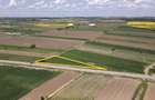 Teren Intravilan 150 deschidere la DJ401D - Proximitate A0 - Urbanism - 10