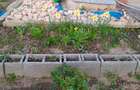 Vând teren intravilan în comuna Peștera, județul Constanța  - 2