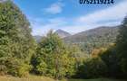 Teren deosebit, la munte, Dragoslavele, Rucar, Arges, doar 6 euro/mp! - 4