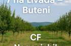 Teren 7 ha. livada Buteni, Jud. Arad CF, acces drum. - 1