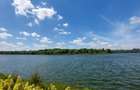Studio cu gradina si vedere spre lac, pet-friendly - 14