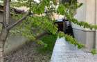 3 Camere + curte , 1500€/luna negociabil, ideal pentru familie cu copil - 16