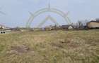 DOM00432 - Teren de vanzare la lac Snagov - 5