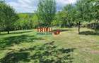 Teren intravilan de vanzare zona Schit - 1