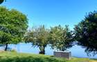 PENTHOUSE CASA PRESEI OAZA DE LINISTE   PRIVELISTE GRADINA PE LAC LOCATIE UNICA - 1