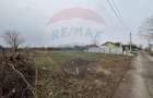 Teren intravilan de vanzare, 1000 mp, Branesti,  lfov - 8