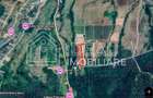 Teren extravilan 6.500 mp – Cârțișoara | Comision 0% - 8