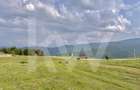 Teren 1003 mp în Păltiniș | Priveliște panoramică către munți - 4