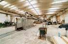 Complex industrial adecvat pentru productie (Gheorgheni,  str. Kossuth Lajos) - 13