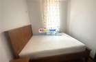Apartament 2 camere Mobilat Utilat, Ilie Petre, 300 Euro - 4