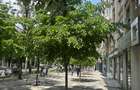 DECEBAL,LOCATIE EXCEPTIONALA,monolit,stradal,vedere Bulevard,liber,reabilitat - 2