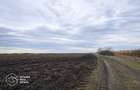 Teren agricol de vanzare, 17.900 mp, comuna Utvin - 1