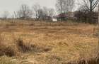 De vânzare: livadă de nuci pe teren intravilan. - 10