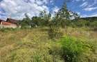 Teren intravilan, 3694 mp., zona Primaria Bocsa, COMISION ZERO% PT. CUMPARATOR. - 5