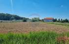 Teren 872,43 mp Snagov - 6