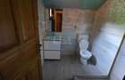 Casă de vacanță pe malul Dunării, Svinița - 10