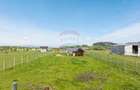 Teren 1300 mp | Sanpetru | zona Livada - 7