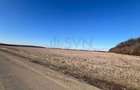 REL4000892 Corbeana - Ostratu 15200 mp langa padure - 1