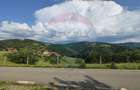 Teren 130000 mp extravilan, faneata si padure, Munteni - Bulz, Negreni - 8