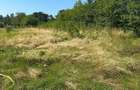 Casă cu teren de 5.700 mp, Pădureni,se accepta si schimb cu apt in Iasi - 14