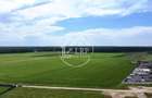 OPORTUNITATE INVESTIȚIE:Teren intravilan 25.000mp Dascălu-Pădure, parcelabil - 4