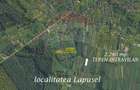 1.500 eur/ar - TEREN INTRAVILAN in Lapusel - 4
