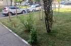 Pantelimon- Parcul Florilor, apartament 3 camere de vanzare - 14
