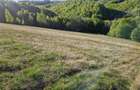 RECO, teren intravilan, Zona Sinteu, Bihor - 5
