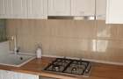 Apartament 1 cameră de închiriat – Complex Privilege, Kaufland, 360 euro - 9