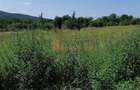 Teren intravilan de vanzare in zona Parscov - 3