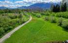 Teren 500mp-1000-2000mp, intravilan, intre Bran si Zarnesti (Tohanita) - 5