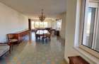 REC3000915 Penthouse Herastrau - 350 mp utili - 350 mp terasa - 5