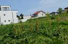 Oferte terenuri in Palazu Mare zona lac Siutghiol - 7