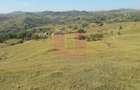 Teren intravilan de vanzare in Breaza (dezvoltare imobiliara) - 5
