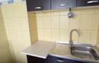 Apartament 2 camere semidecomandat Brotacei 370 euro - 22