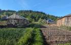 Gospodărie completă în Zăbala – Casă 150 mp (3 dormitoare, living, loc de masa) - 12