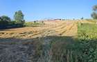 Teren intravilan, 7500 mp in Moara Carp / Strada Eternitatii-Suceava - 12