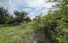 Teren intravilan 498,02 mp langa pădure , strada privata Corbeanca - 14