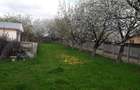 Vând grădină în Tg.Frumos - 3