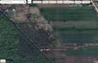 `Teren langa padure, Snagov - Strada Parcului - 6