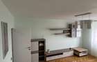3 camere Pantelimon - 13