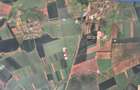 Timisoara Ortisoara-tere agricol  4 hectare comasat - 1