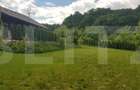 Investitie ! Casa de vacanta 350 mp utili ,teren 3000 mp in Faget ! - 11