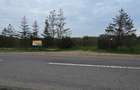 LIVADA  DE VANZARE FOCSANI-DUMBRAVITA  1,8  HA - 22