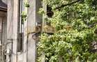 3 CAMERE 93MP SUPERB IN VILA INTERBELICA/ELEMENTE ORIGINALE/ARMENEASCA - 22