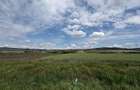 Teren intravilan Criseni 42 de ari 3300eur/ar - 2